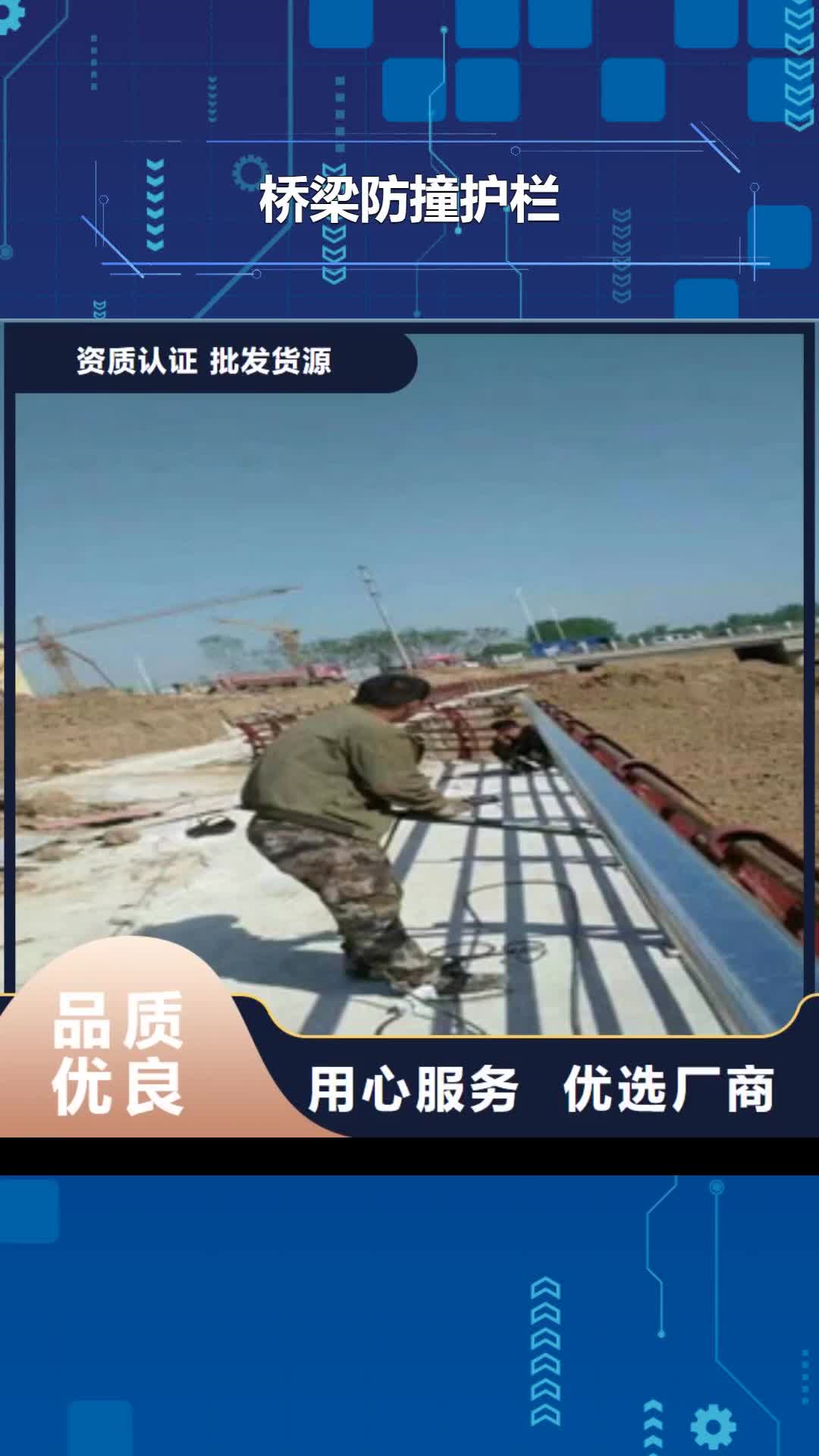 【台湾 桥梁防撞护栏_235碳钢栏杆生产厂家】
