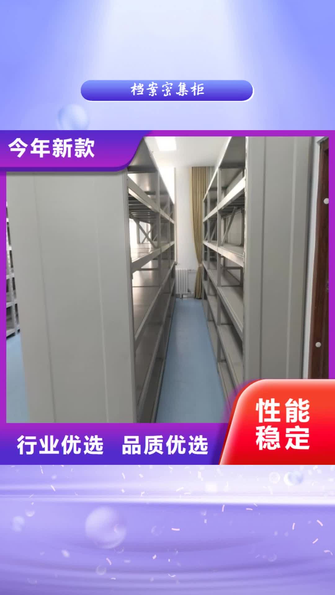 【来宾 档案密集柜,钢制双面双联档案架多种规格供您选择】