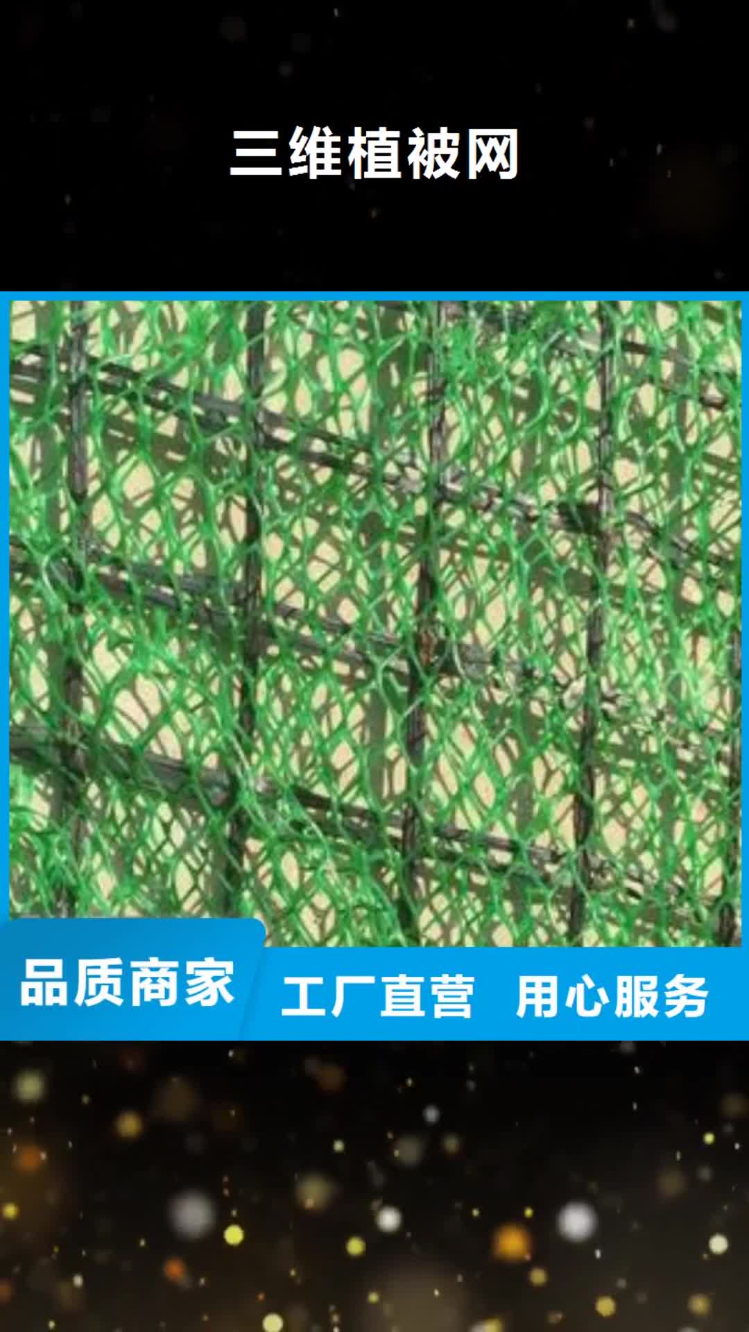无锡 三维植被网【三维复合排水网】优选厂家