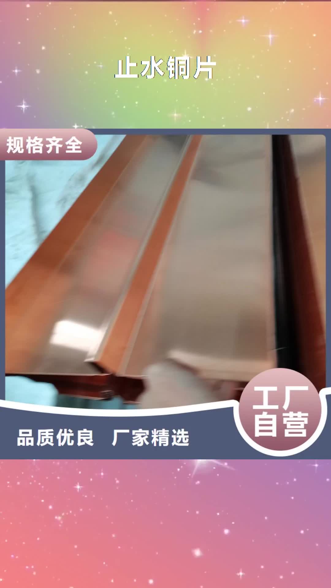 马鞍山止水铜片_【渗水盲管】真材实料加工定制