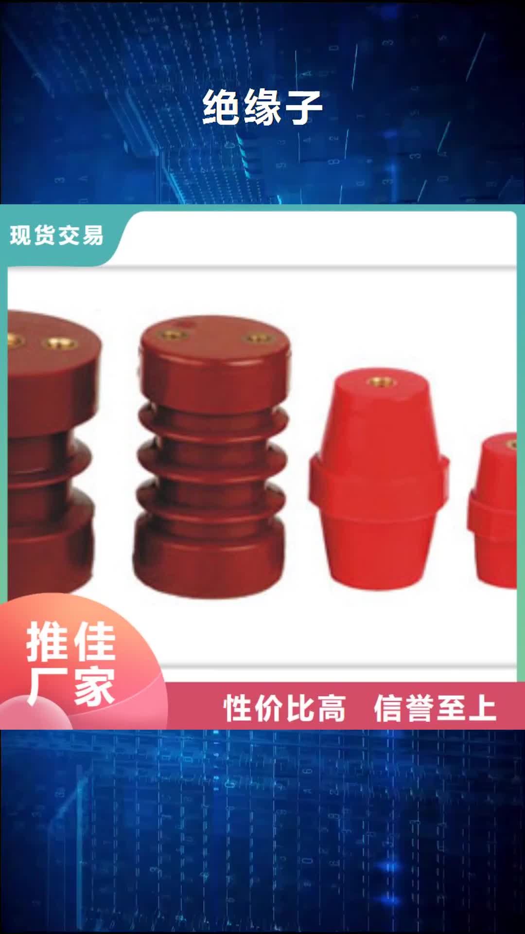 漳州 绝缘子选择大厂家省事省心